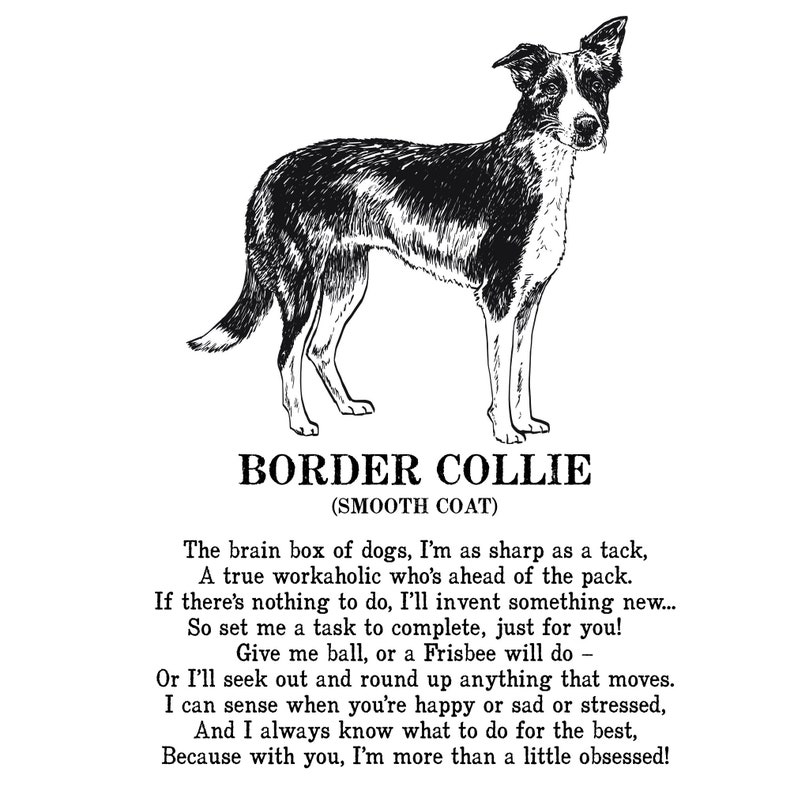 Border Collie Print Illustrated Poem image 6