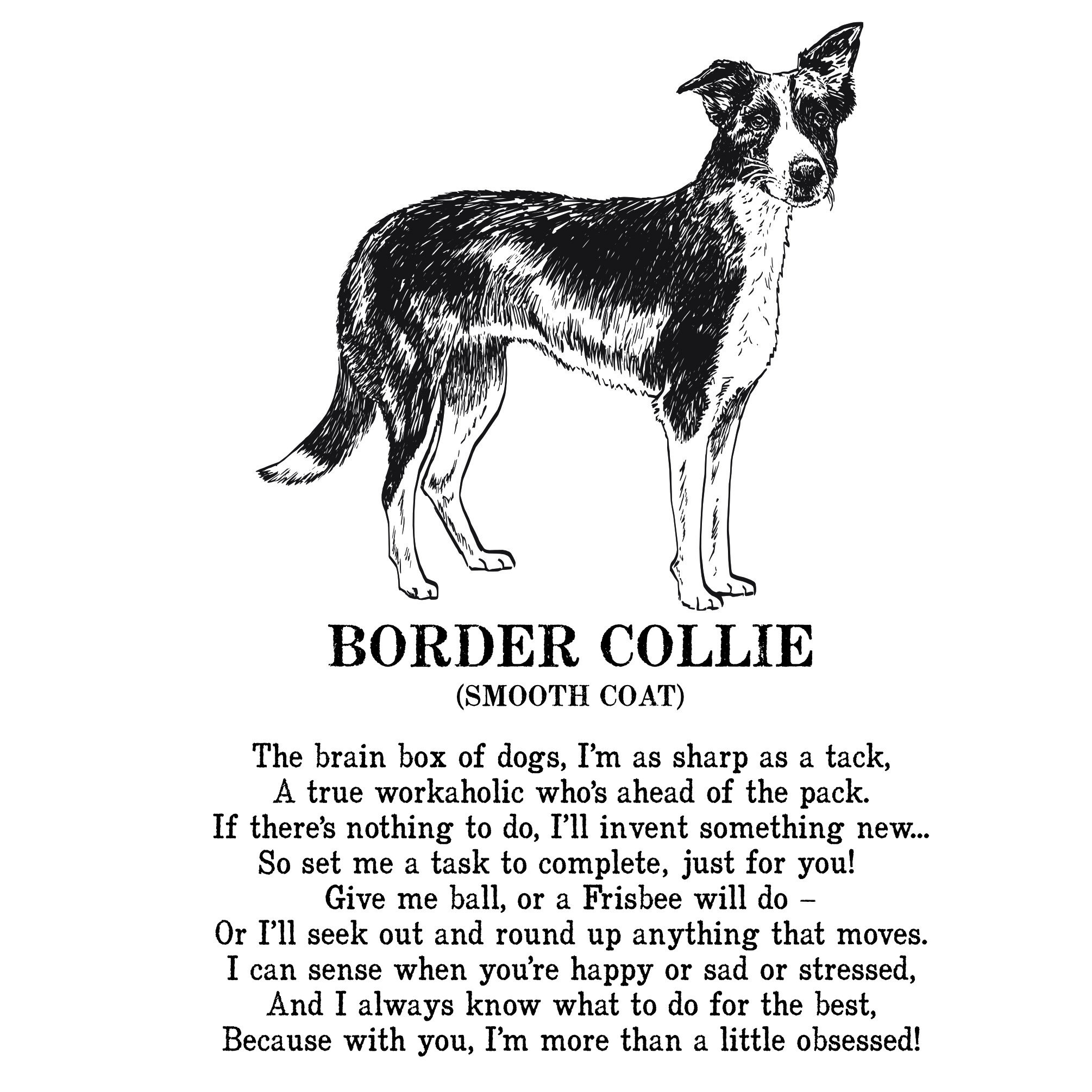 Border Collie Print Illustrated Poem - Etsy UK