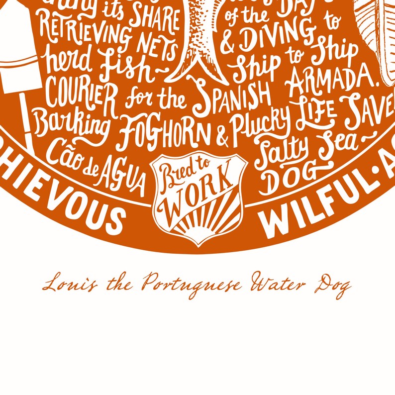 May include: A circular orange illustration with white text describing the Portuguese Water Dog breed. The text includes "Bred to Work", "Salty Sea Dog", "Wilful", "Retrieving Nets", "Courier for the Spanish Armada", and "Cao de Agua".