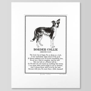 Border Collie Print Illustrated Poem image 5