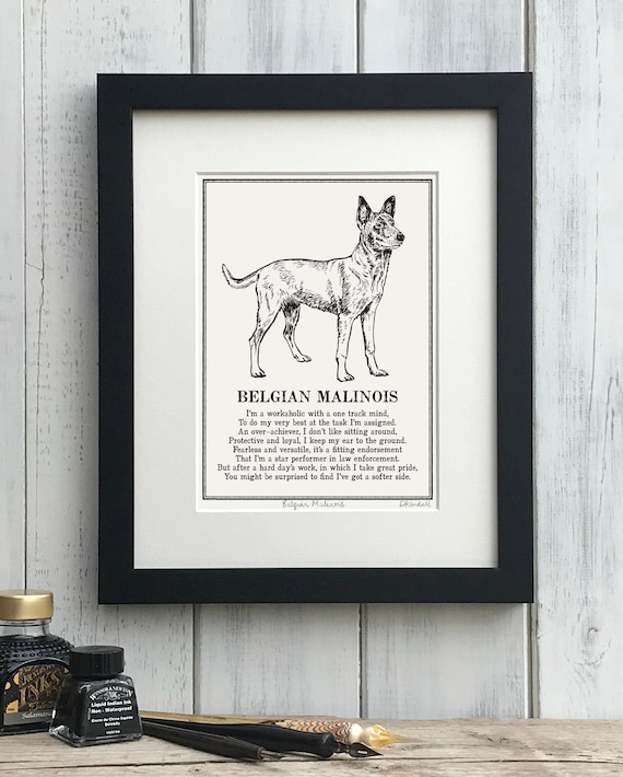 Belgian Malinois Print: Personalised Illustrated Dog Art Poem