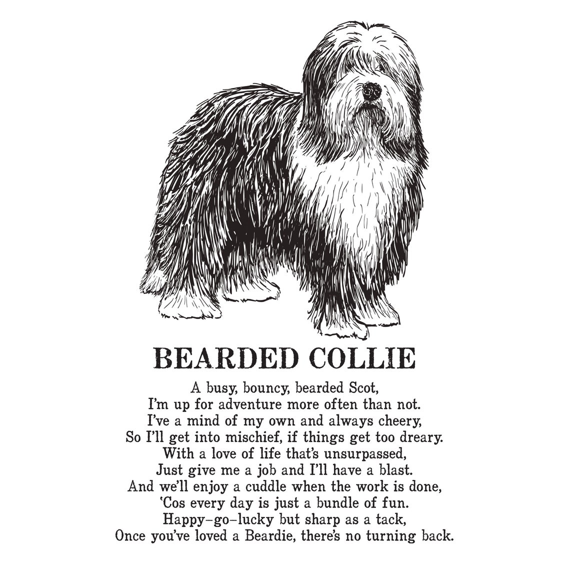 Bearded Collie Print Illustrated Poem Etsy