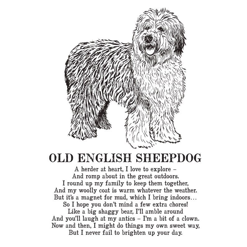 Old English Sheepdog Print Illustrated Poem Etsy