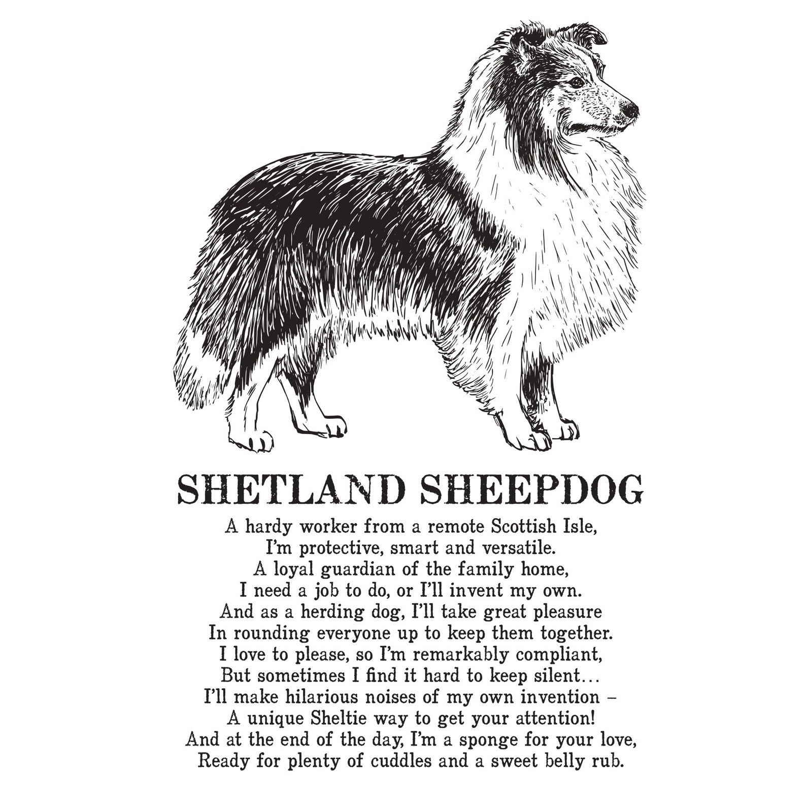Shetland Sheepdog Print Illustrated Poem - Etsy Australia