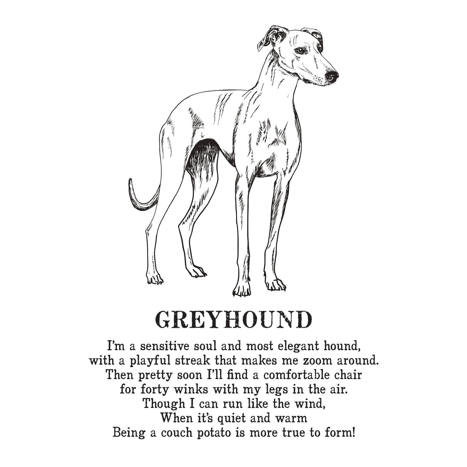 Greyhound Print Illustrated Poem Etsy Sweden