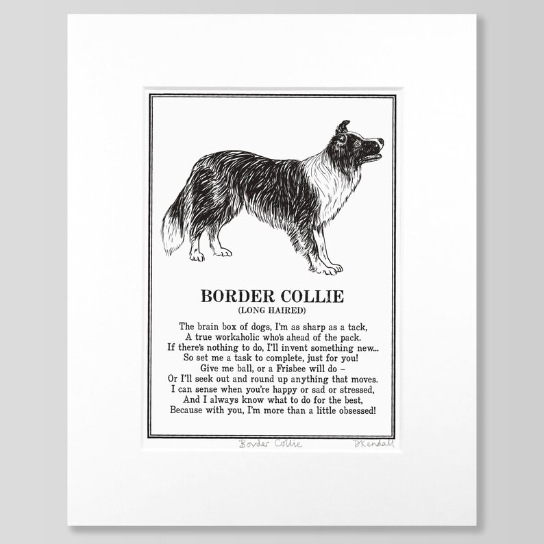 Border Collie Print Illustrated Poem image 2