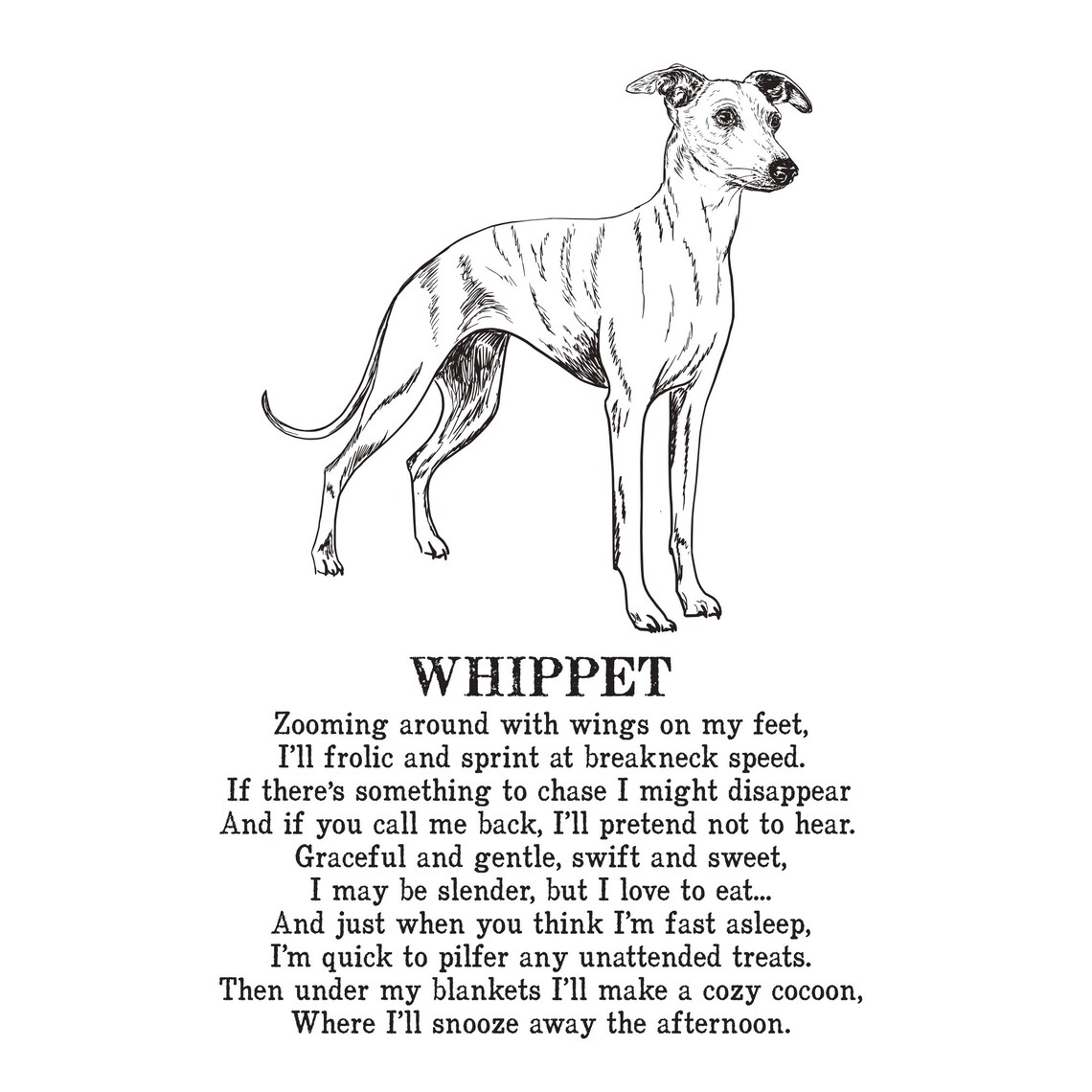 Whippet Print Illustrated Poem | Etsy UK