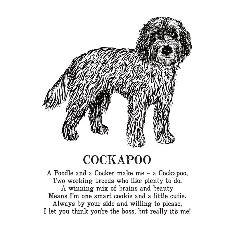 Cockapoo Print Illustrated Poem - Etsy