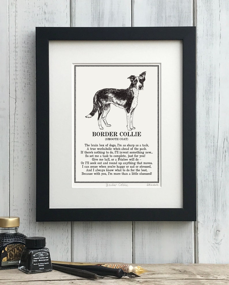 Border Collie Print Illustrated Poem image 4