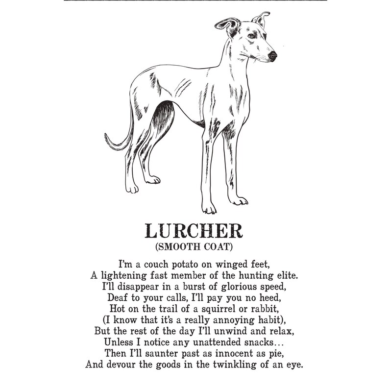 Lurcher Print Illustrated Poem Etsy UK