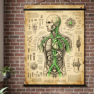 Könnte beinhalten: Anatomie-Poster mit detaillierter Illustration des menschlichen Körpers, wobei das Kreislauf- und Nervensystem grün hervorgehoben wird. Das Poster enthält Diagramme und den Text "CODEX BIOMECANICA" und "ANATOMIA ET MECHANICA HOMO ARTIFICIALIS".