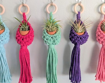 Hand-Knotted Macrame Air Plant Holder | Bohemian Cotton Wall Decor