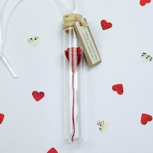 Handmade Personalised Red Paper Rose In A Glass Vial Gift For Wife - Custom Book Art Red Rose Alternative Valentine's or Anniversary Gift