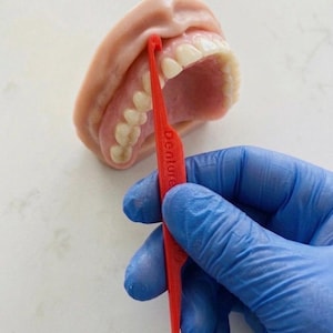 May include: A set of dentures with a red plastic denture cleaner. The dentures are a light pink color with white teeth. The red cleaner has the word "Denture" printed on it.