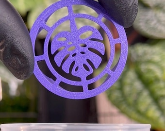 JolliPlants - Etsy