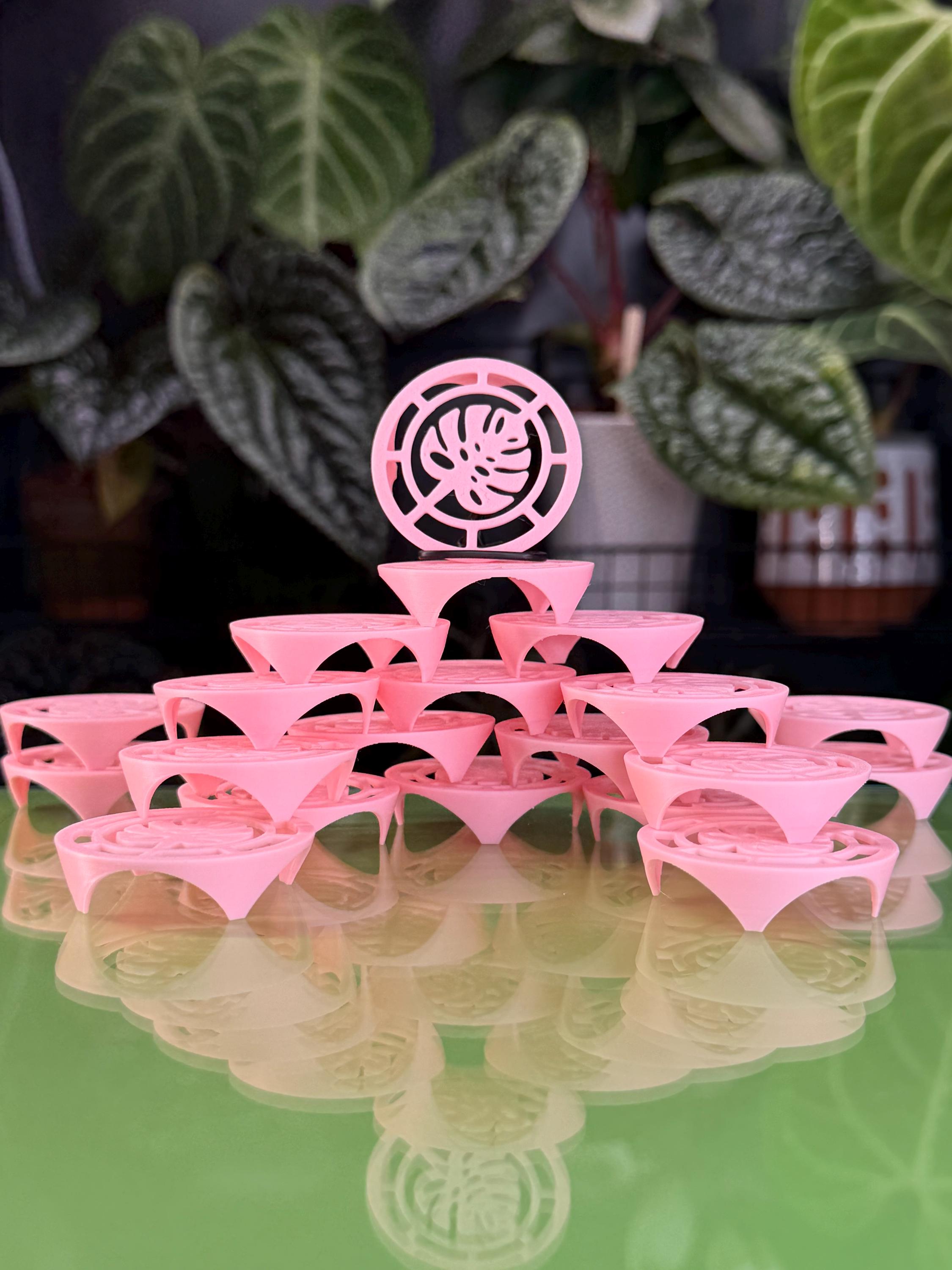 Corm Riser Corm Risers (x20) | Pink Alocasia Corms Propagation Disks - Etsy