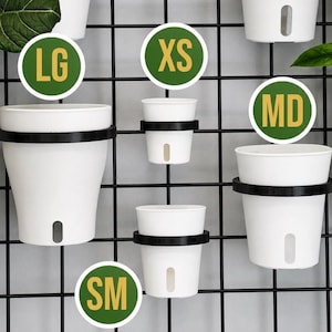 May include: A collection of white plastic plant pots in various sizes, each secured by a black circular ring mount onto a black wire grid wall. The pots feature a small vertical cutout at the base and are labeled with green circular size tags.