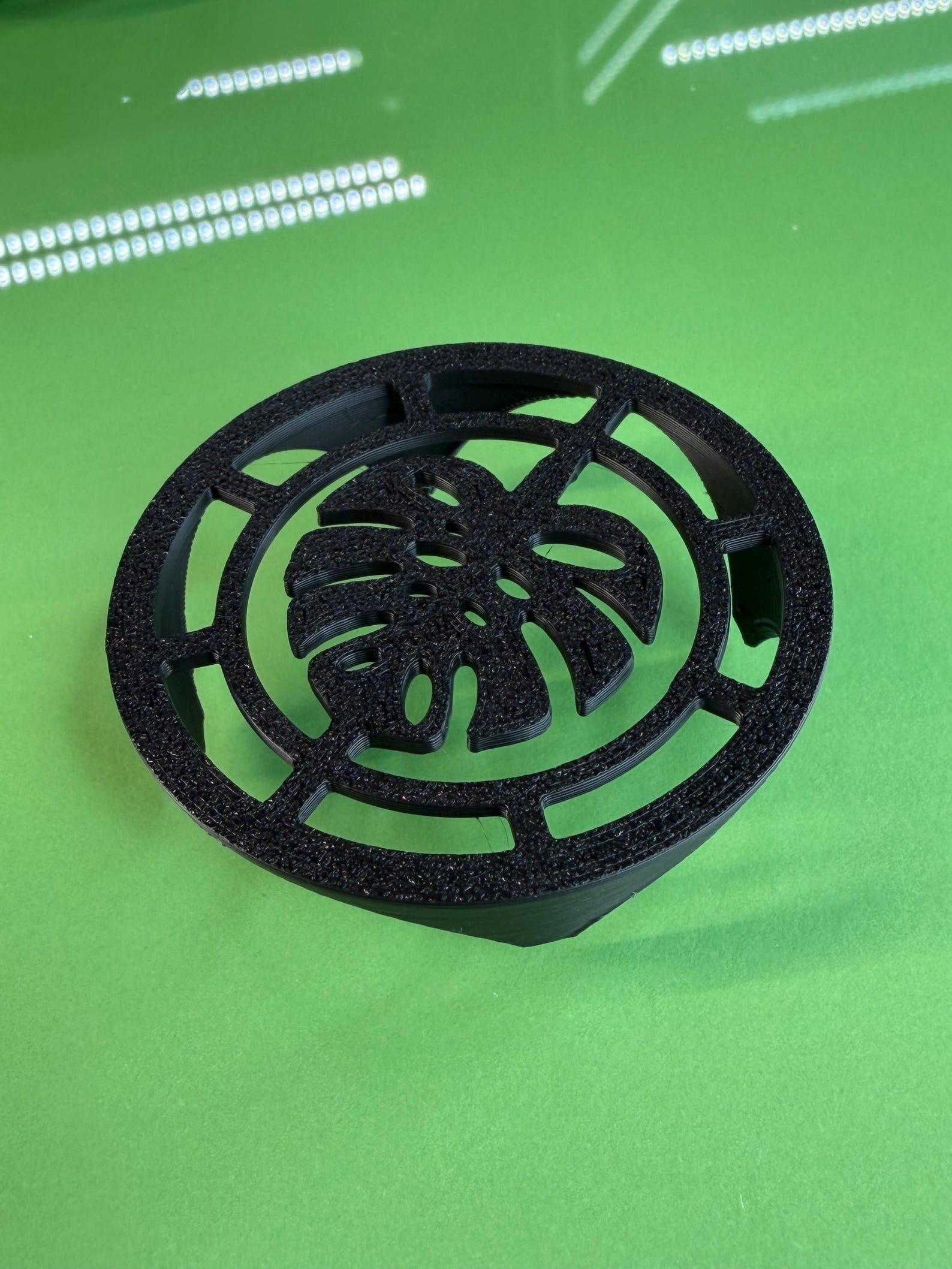Corm Riser Corm Risers (x20) | Black Alocasia Corms Propagation Disks - Etsy