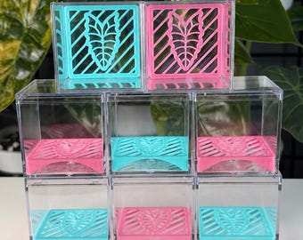 Puede incluir: Una pila de ocho cajas de exhibición cuadradas de acrílico transparente. Cada caja tiene una base extraíble en turquesa brillante o rosa vibrante, decorada con un patrón de hoja recortado y líneas diagonales. Las cajas están en cuadrícula.