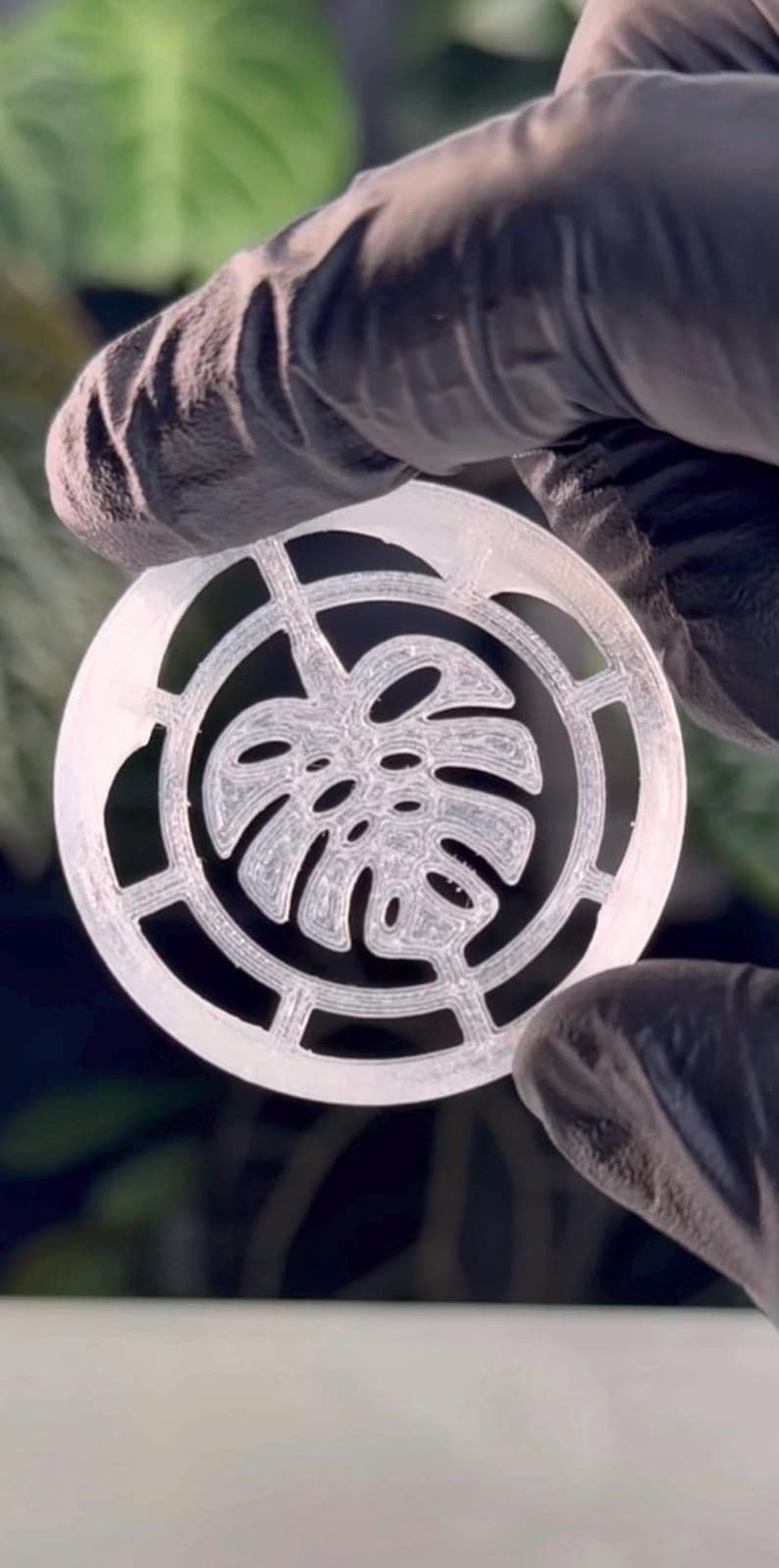 Corm Riser Corm Risers (x10) | Clear Alocasia Corms Propagation Disks - Etsy