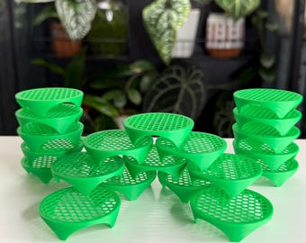 Corm Risers | Alocasia Corm Propagation Disks (x20)