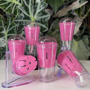 5 pack - Corm Cups Alocasia Propagation Tissue culture self watering pots with wick. Reusable growing plants.