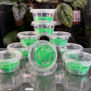 May include: A collection of clear plastic containers with lids, each containing a bright green insert. The inserts have a circular design with a leaf pattern. The containers are stacked and arranged on a reflective surface, with plants in the background.