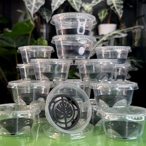 May include: Clear plastic containers with lids, each containing a black insert, are stacked. One container is open, showing a black decorative insert with a leaf design. The containers are on a green surface, with plants in the background.