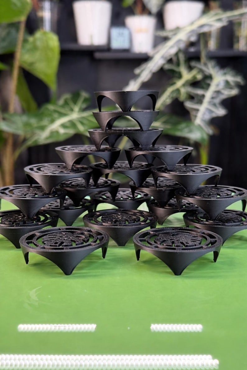 Corm Riser Corm Risers (x20) | Black Alocasia Corms Propagation Disks - Etsy