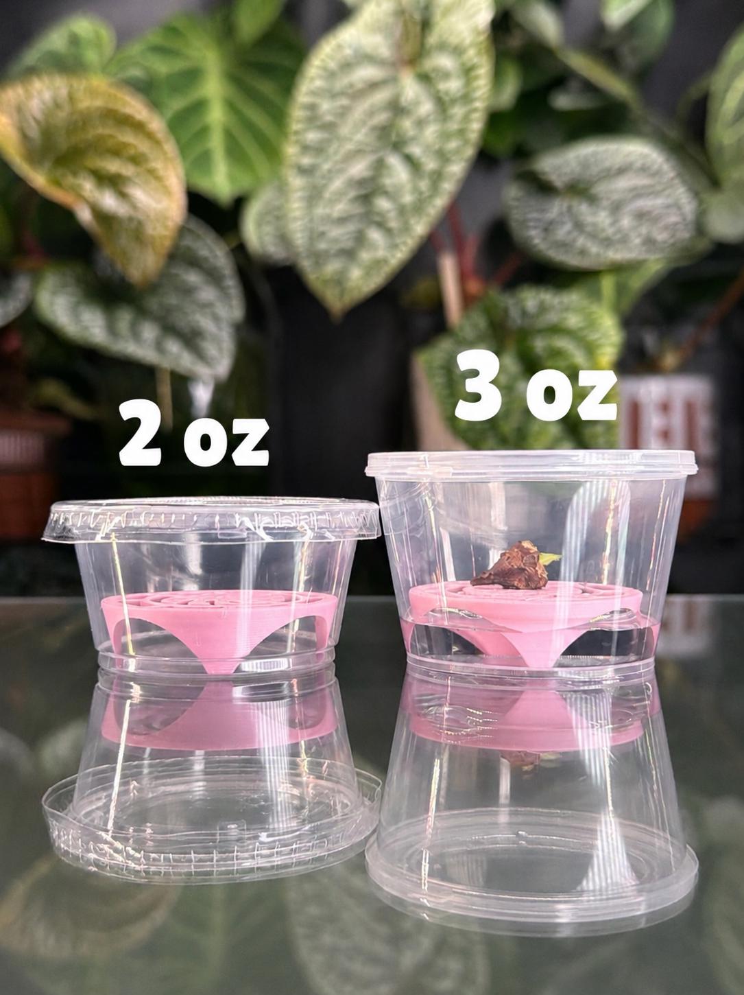 Corm Riser Corm Riser Kit - Pink Monstera (x10) - Etsy