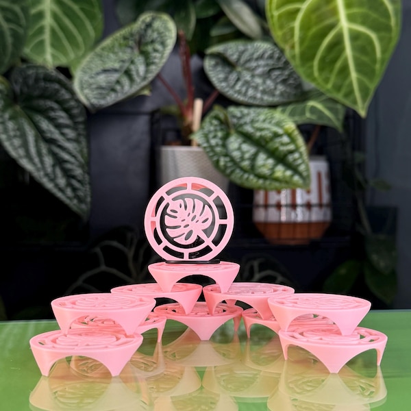 Suportes para bulbos (x10) | Discos de propagação de bulbos de Alocasia rosa