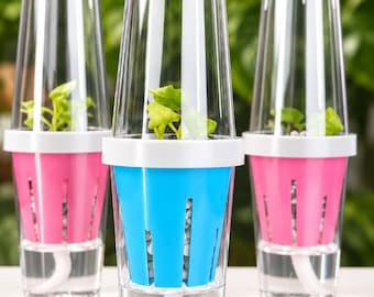 Può includere: Tre vasi auto-irriganti con contenitori esterni trasparenti, bordi bianchi e cestelli interni in blu brillante e rosa. Ogni unità contiene una piccola pianta verde, substrato bianco e uno stoppino bianco immerso nell'acqua.