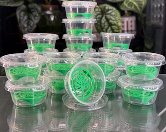 Kit de contremarche en bulbe - Monstera vert (x20)