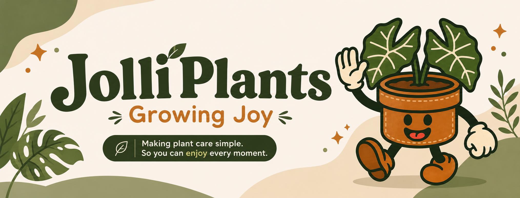 JolliPlants - Etsy