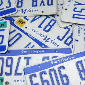 10 Michigan License Plates: Blue & White Craft Supply
