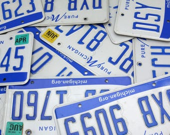 10 Michigan License Plates: Blue & White Craft Supply