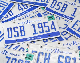 10 White and Blue Michigan License Plates - Free Shipping - Craft Supply