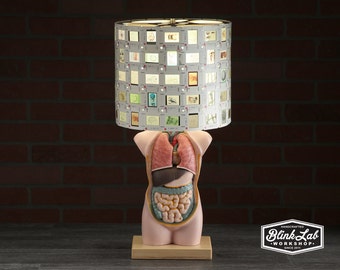 Anatomy Lamp &amp; Photographic 35mm Slide Shade, Medical Science Illustrations, Home Decor, Up-cycled, Repurposed, Film, Interior Designer Art