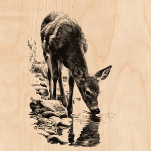 Fichier de gravure laser Cerf | Buveur, Rivage rocheux, Reflet (PNG)