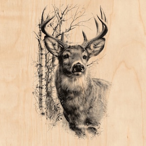 Fichier de gravure laser Cerf | Cerf mâle, bouleaux, forêt (PNG)