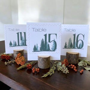 May include: Three white table number cards with forest green tree designs and the numbers 14, 15, and 16. Each card is held by a small, round wooden base. The cards are decorated with a stitched border. Dried flowers and greenery are arranged on the dark wooden surface.