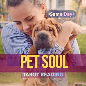 Psychic Pet Reading for Living Pets, Passed Pet Reading, Animal Communicator, Psychic Medium, Pet Behaviour Reading, Feel Reading