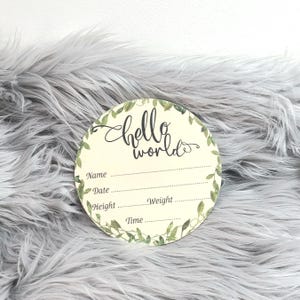 Hello World  Baby Boy or baby Girl  Sign hospital photo Announcement