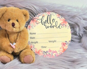 Hello World  Baby  Girl  Floral Wooden Sign