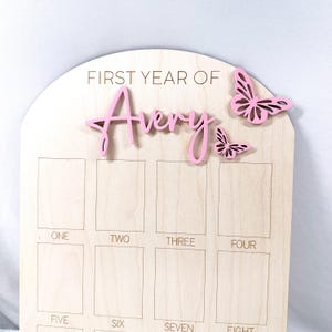 Tablero de cumpleaños personalizado de primer año Mariposas Un año de, Mi primer año, Foto de 12 meses