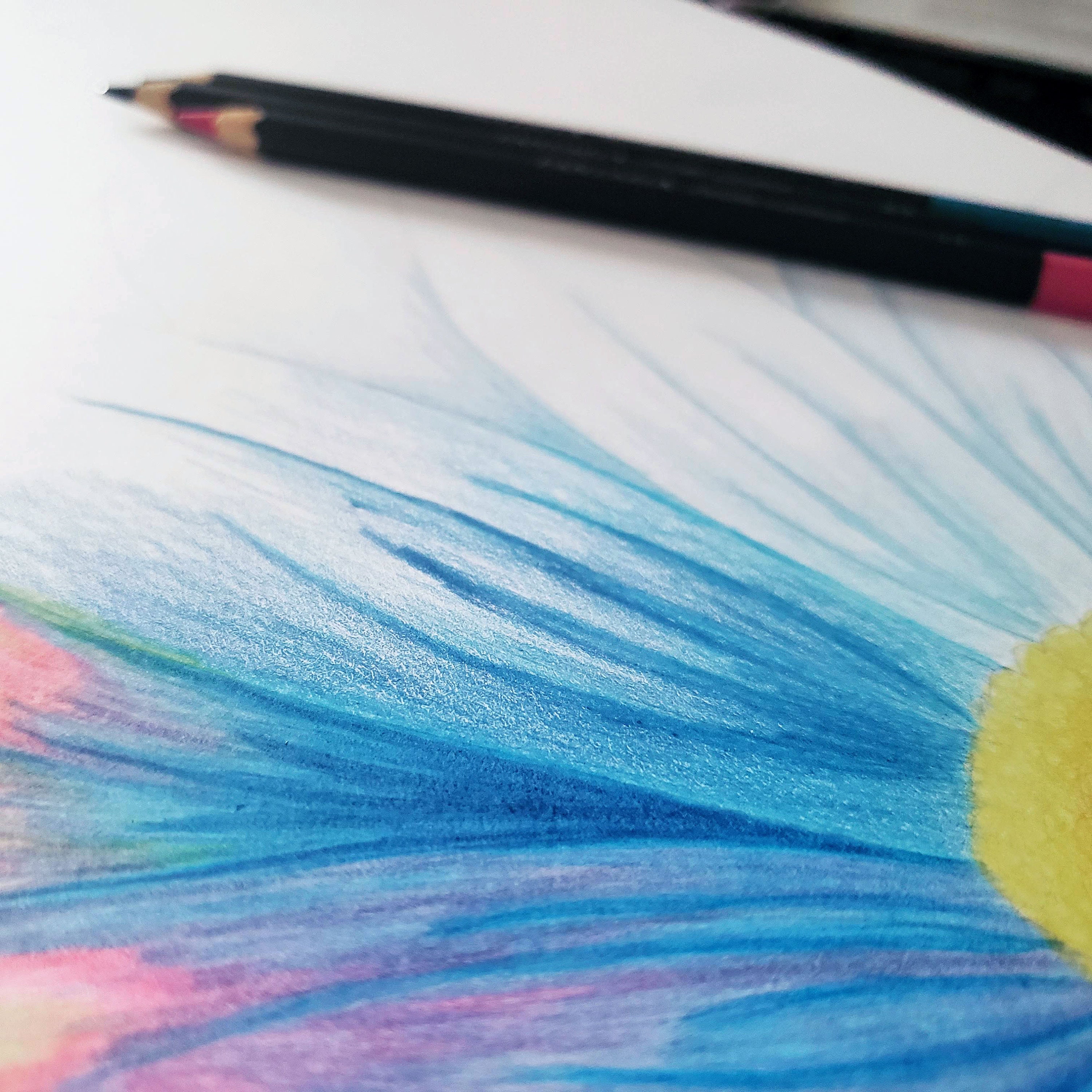 Sunflower Coloring Page for Adults - Etsy