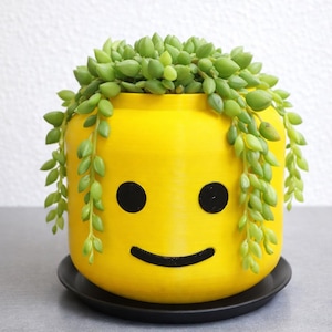 May include: A bright yellow planter shaped like a smiling face, with black eyes and a curved mouth. The planter is filled with cascading green succulent plants. The planter sits on a black saucer.