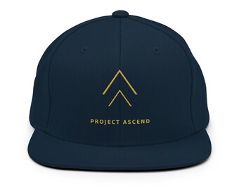 Project Ascend Snapback Hat