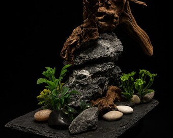 All Natural Spiderwood on Seiryu stone decor.Mounted on a slate base 8Lx8H