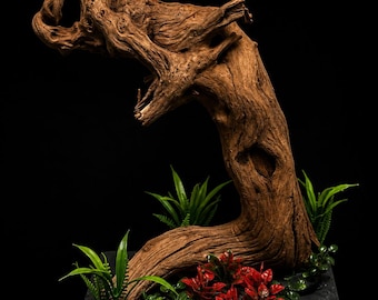 Aquarium/Terrarium Driftwood display  with Seiryu Stone, Slate Base Centerpiece (13x8)